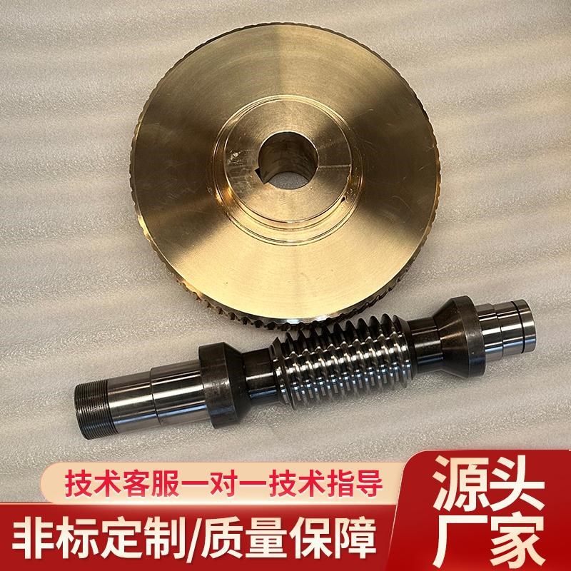 非标定做精密涡轮蜗杆螺杆丝杆蜗轮铜铸铁不锈钢研磨双导程配件