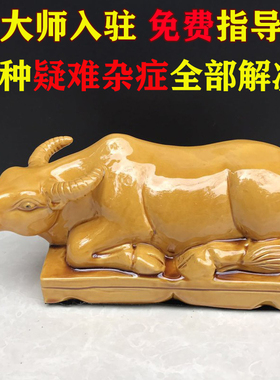 卧牛摆件黄牛工艺品水牛摆设陶瓷生肖牛风水家居装饰品补缺角小牛