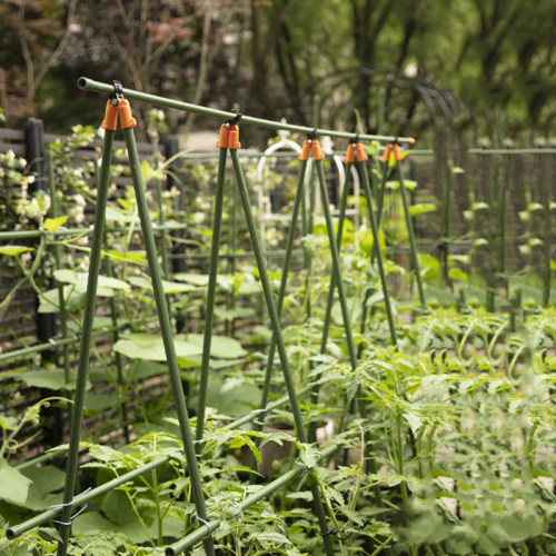 菜架子种菜黄瓜豆角架子家庭室外爬藤支架牵引花支撑架户外攀爬架