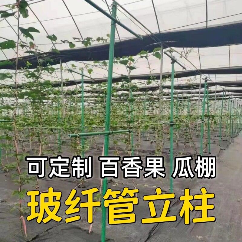 空心玻璃纤维管百香果遮阳网立柱防寒架避雨棚大棚支撑杆养殖排杆