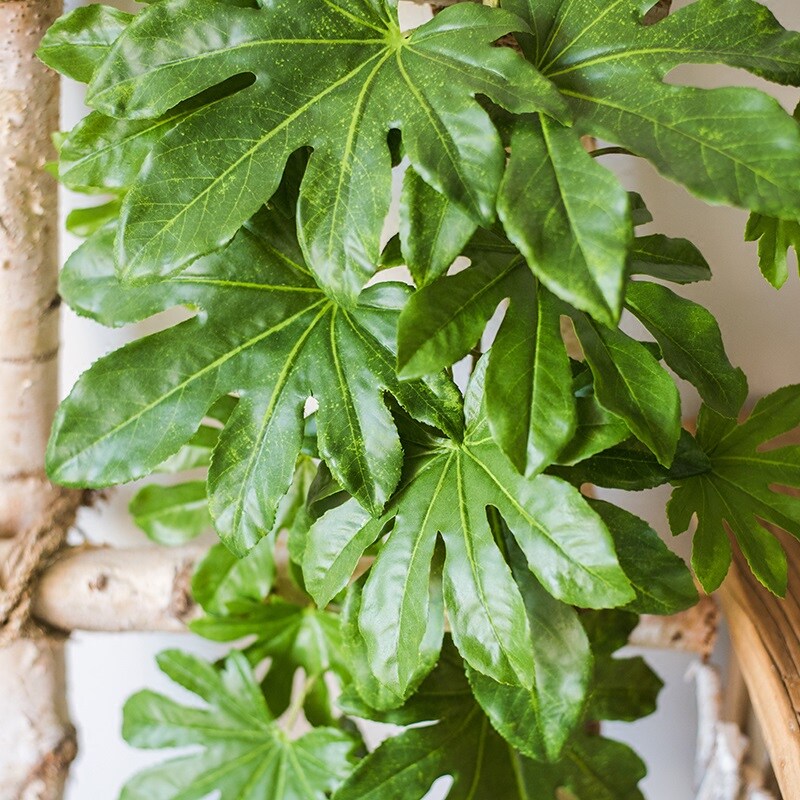 掬涵 八角金盘叶大型仿真绿植壁挂花艺插花工程装饰墙面绿植墙