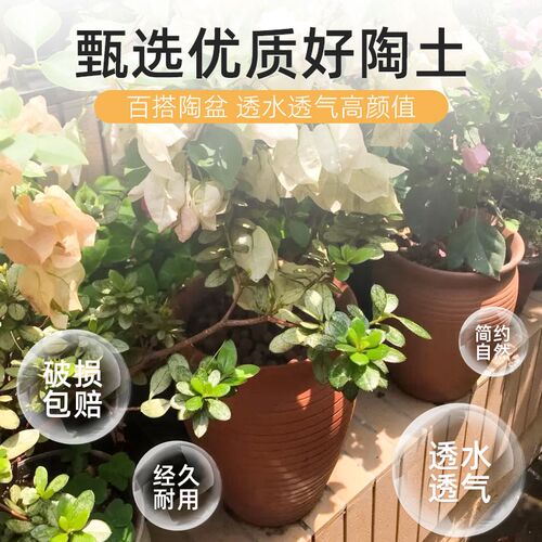 特大号多肉植物花盆陶瓷创意家用法师悬崖老桩高盆三角梅粗陶土盆