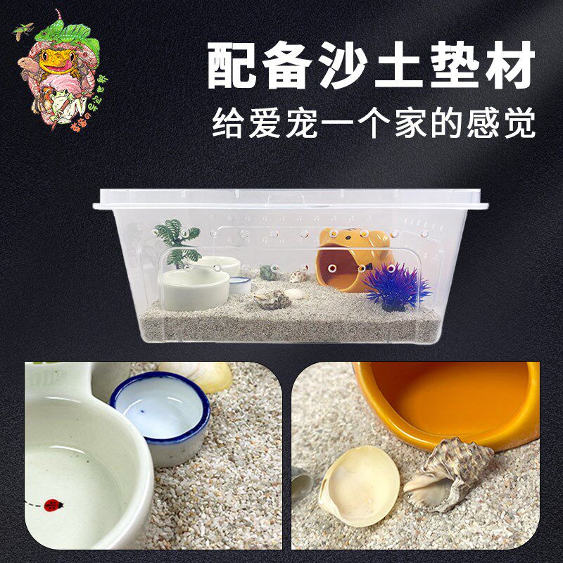 活体寄居蟹新手饲养箱套装亚克力缸网红宠物儿童礼物沙造景躲避