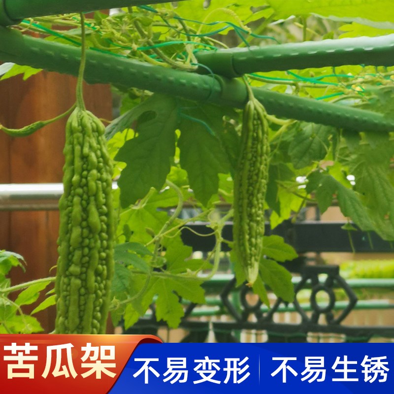 葡萄架子庭院户外爬藤架园艺花架丝瓜支架种菜植物瓜棚支撑杆搭架