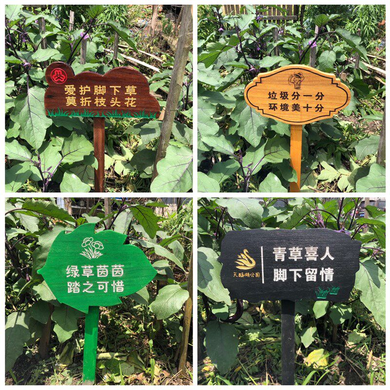 定制小草指示牌草坪立式绿色广告牌幼儿园菜园花园种植提示牌木牌