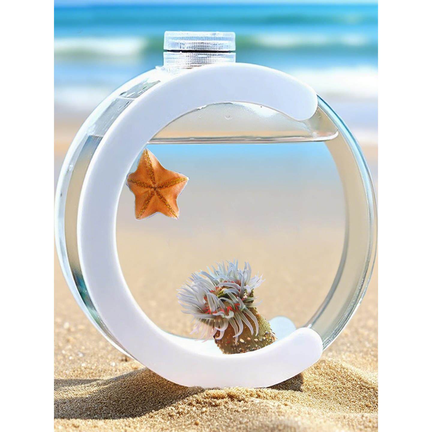 活体海星水母生态瓶客厅桌面缸迷你宠物养殖海葵迷你好养小鱼缸