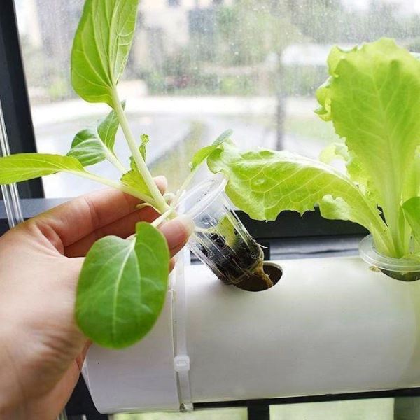 蔬菜多层设备架水培管道阳台种菜机种植壁挂式无土栽培自动水耕