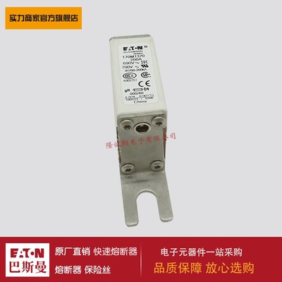 熔断器170M3418 3419 3420 3421 3422 3423 1369 1370 1371 1372