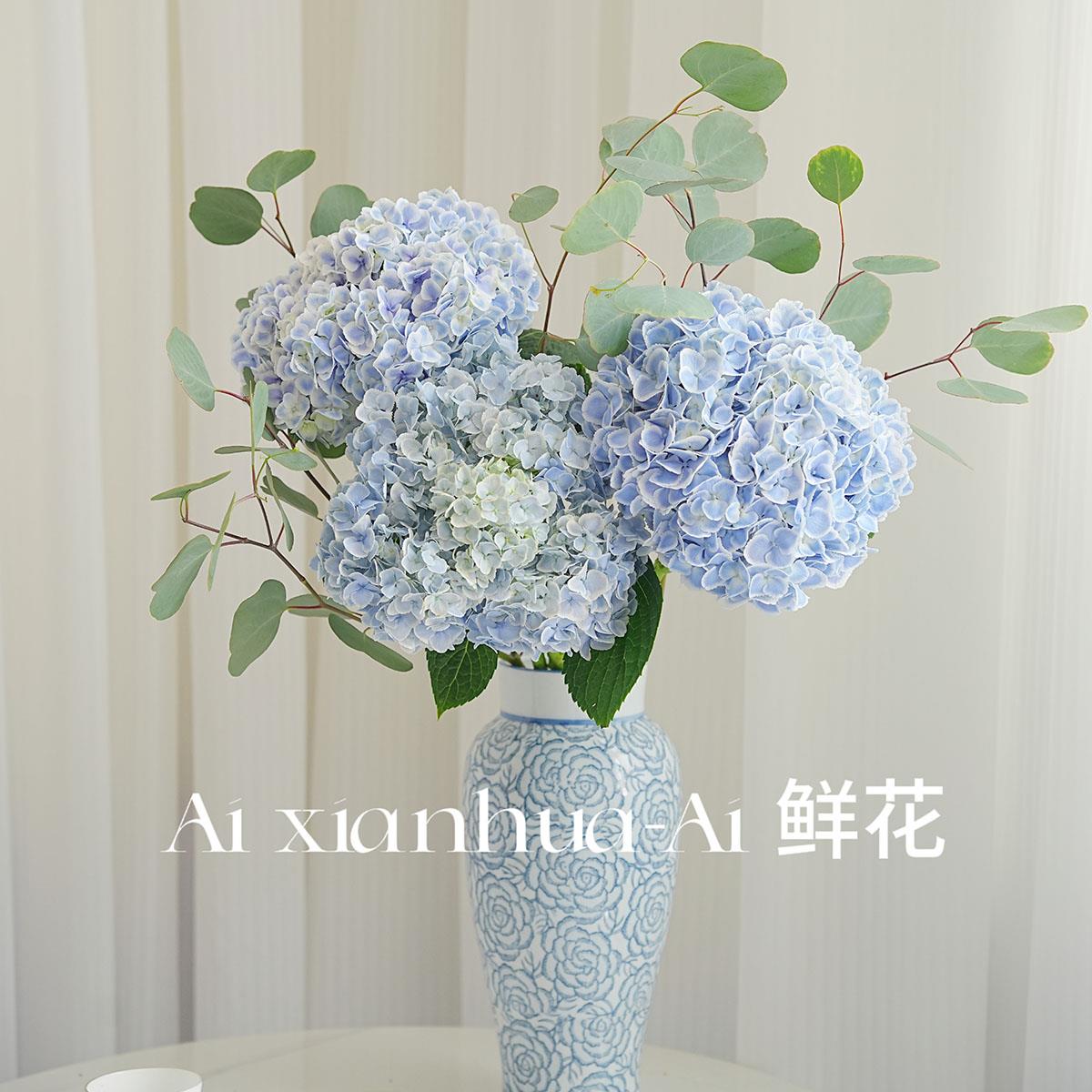 神仙自然色高级梦幻蓝彩绣球花鲜花插花水养家居宴会装饰节日送花