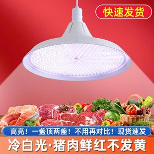 新国标led生鲜灯冷白光猪肉鲜肉灯冷海鲜卤肉卤菜熟食水果店专用