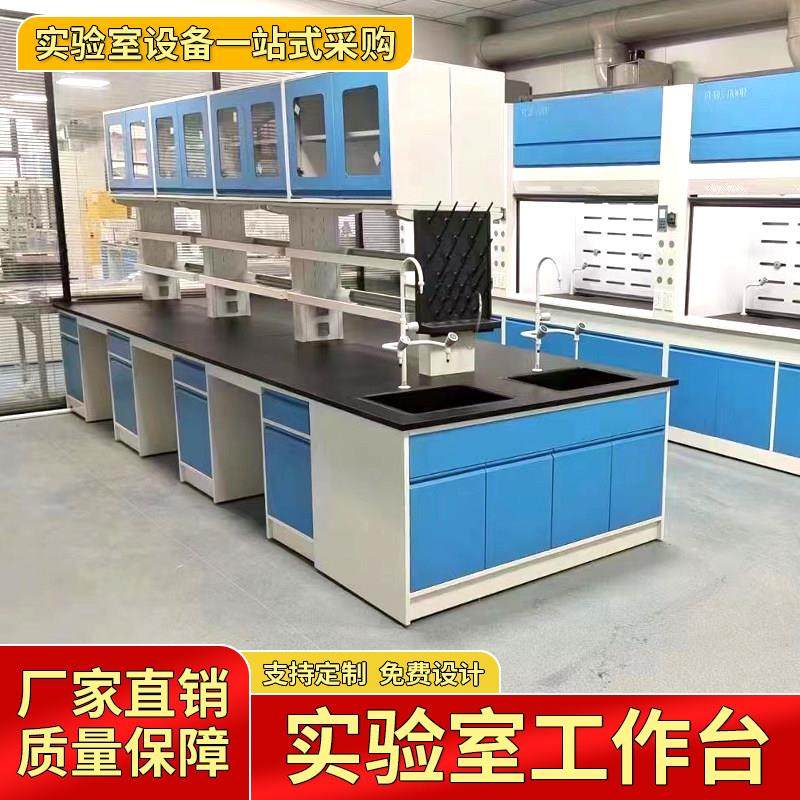 钢木实验台实验室全钢工作台化验室操作台PP中央台边台试验定制