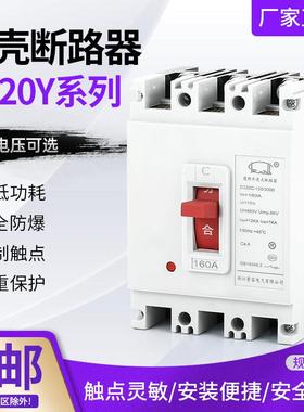 空气开关DZ20Y-100A/3300 160 225 400A 630 DZ20C-250塑壳断路器