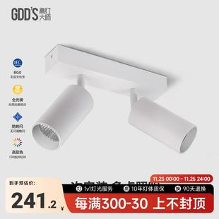 led射灯连体双2头防眩吸顶多头家用客厅智能长条免开孔导轨道 明装