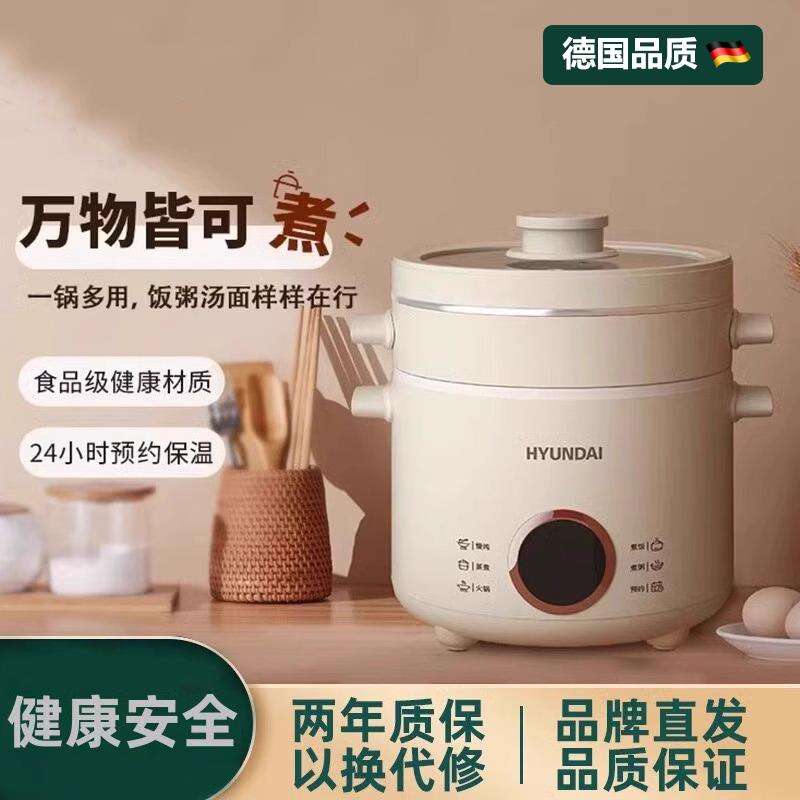 德国电煮锅一体锅多功能蒸煮炖一体迷你小型锅2-3人学生宿舍电锅