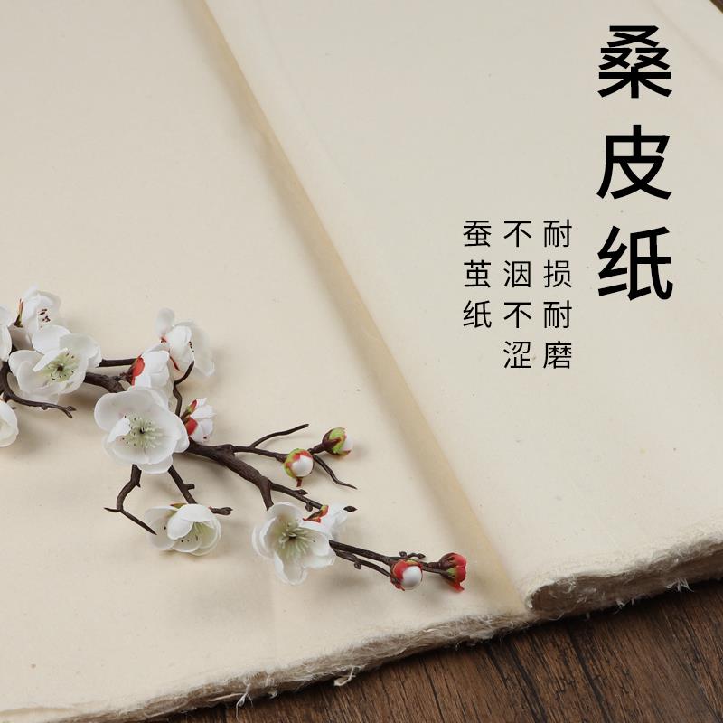 守金古法皮纸四尺六尺桑皮纸半生熟不洇不涩毛边纸初学者国画参赛