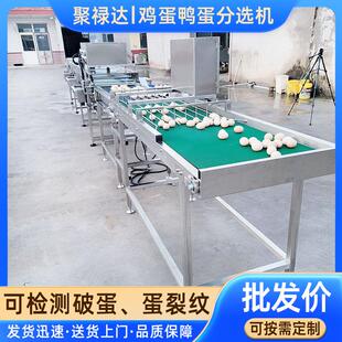 商用蛋品重量分级机 带光检鸡蛋分选机 鸭蛋重量分拣机 厂家直供