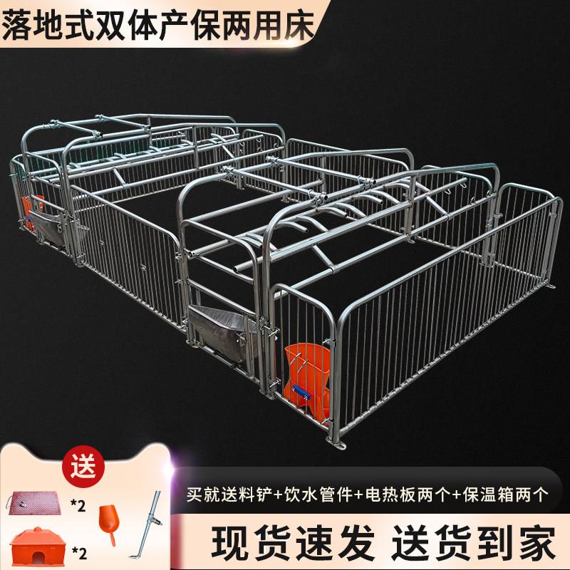 落地式双体母猪产床产保一体保育床分娩床两用猪用养殖设备