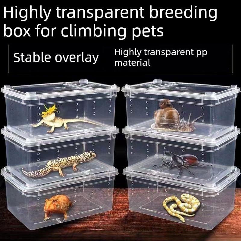爬虫饲养盒爬宠箱蜘蛛守宫蜥蜴蝎