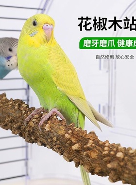 野生花椒木两头开槽鸟站杆双头两端开槽鹩哥八哥鹦鹉画眉磨爪站棍