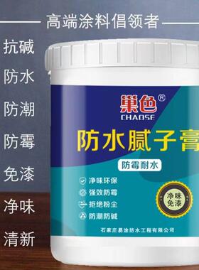 【下单立减50】防水防潮免漆补墙膏墙面修补白色腻子膏室内墙PJ6