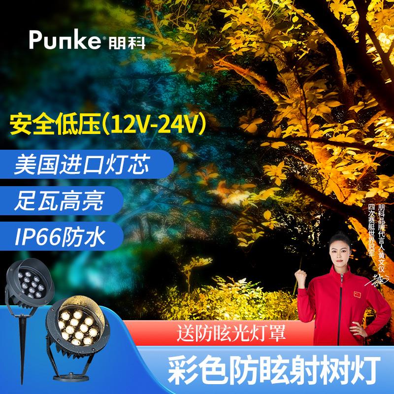 室外射灯庭院景观射树灯12V24伏地灯彩色led投光灯户外防水照树灯