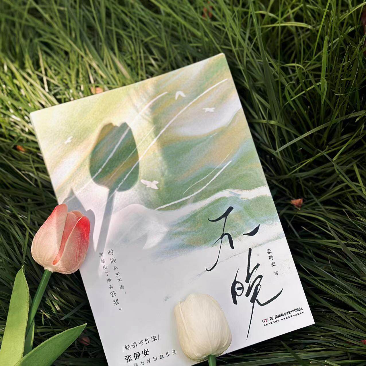 不晚   时间从来不语，却给出了所有答案 畅销书作家张静安 全新心理治愈作品 随书附赠金句语录卡两张