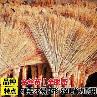 芒草扫把软毛扫帚家用纯手工特厚不粘毛笤帚头植物草扫地格坤
