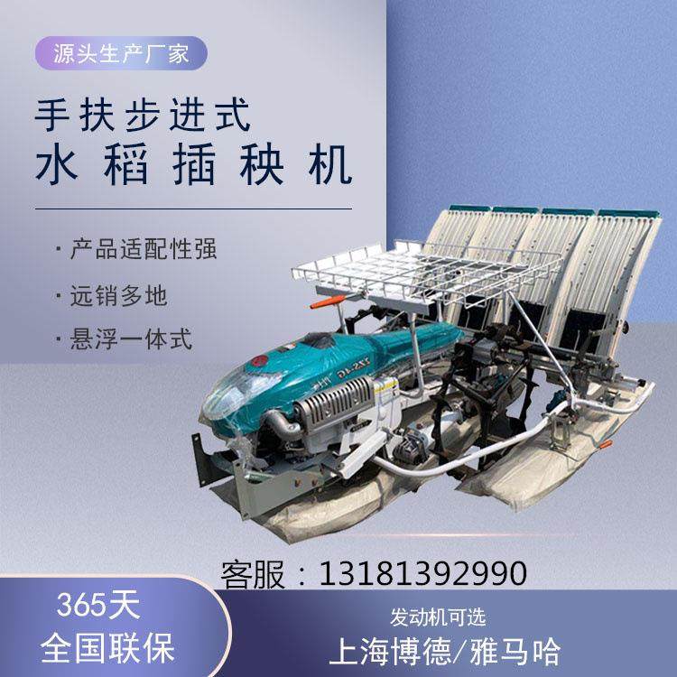 手扶步进式水稻插秧机 育秧盘插秧 电动4行6行水稻秧苗种植机现货,农机/农具/农膜,播种栽苗器/地膜机,淘宝优惠券,粉丝福利购,淘宝优惠卷