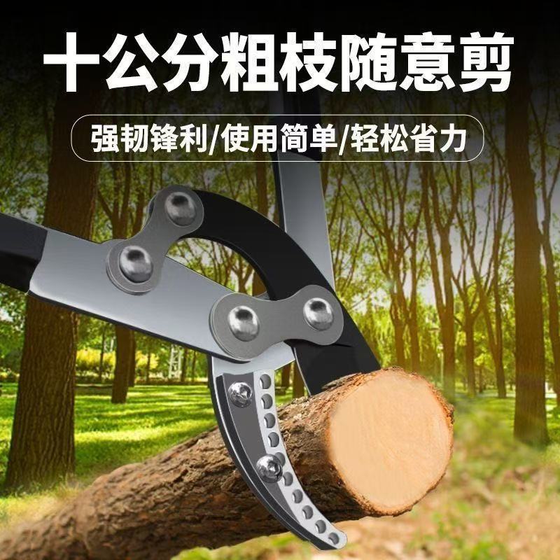 粗枝剪果树树枝修枝剪图片
