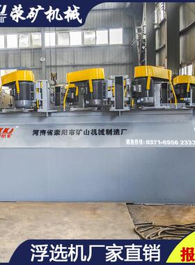 荥矿10立方BF浮选机时处理600m³铁矿锰铬矿浮选设备黑色金属选矿