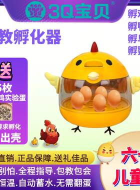 送蛋儿童科教孵化器家用自动恒温芦丁鸡鸭蛋鹦鹉鸟小型专用孵蛋器