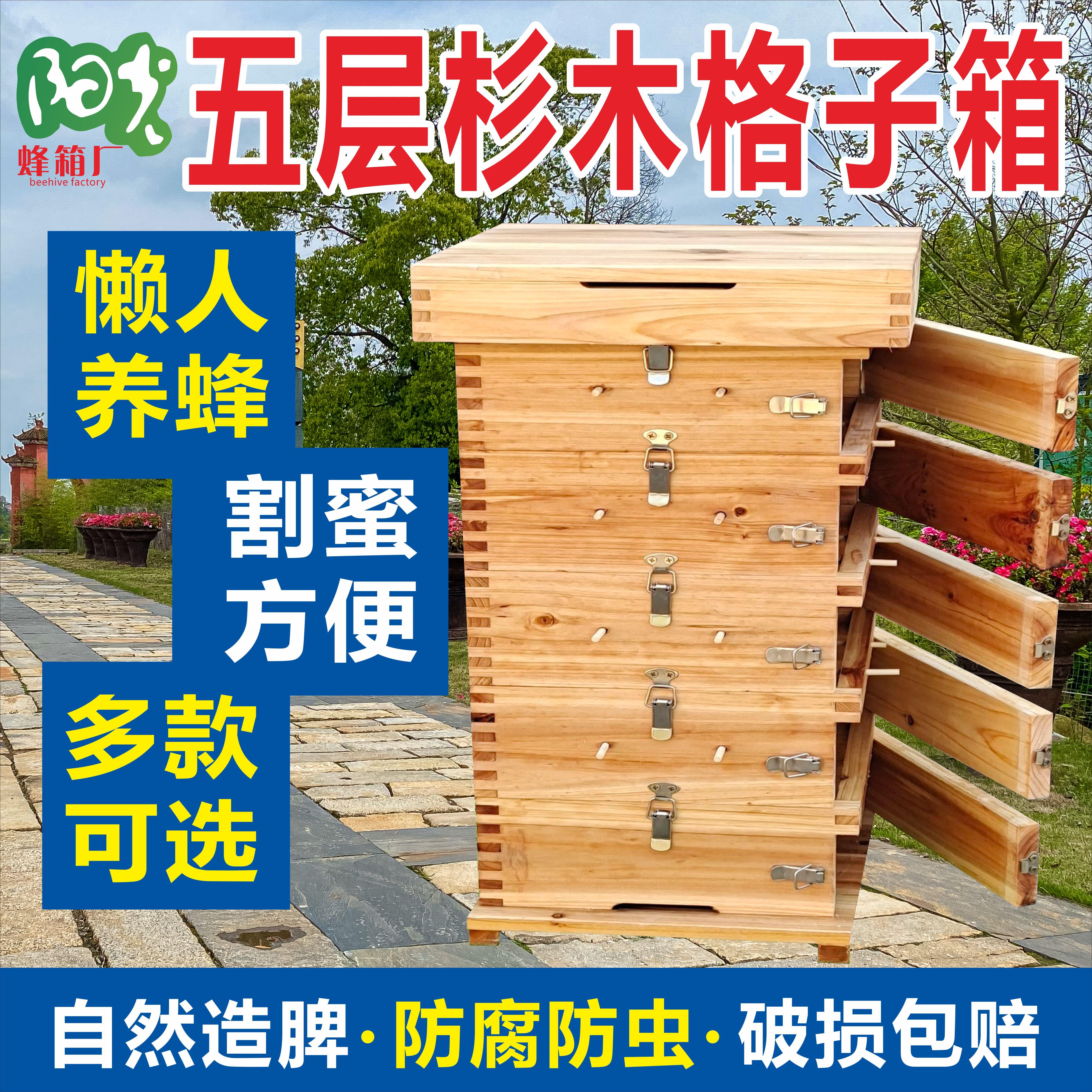 中蜂格子箱五层观察窗杉木蜂箱土养蜜蜂箱诱蜂桶方格子箱养蜂工具