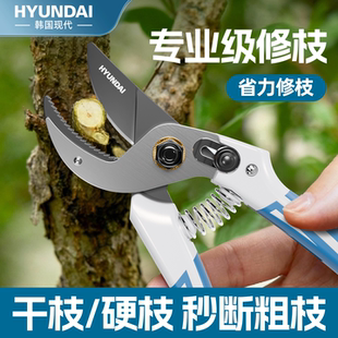 韩国现代修剪树枝园艺剪刀修枝剪园林花卉果树花艺嫁接专用剪子