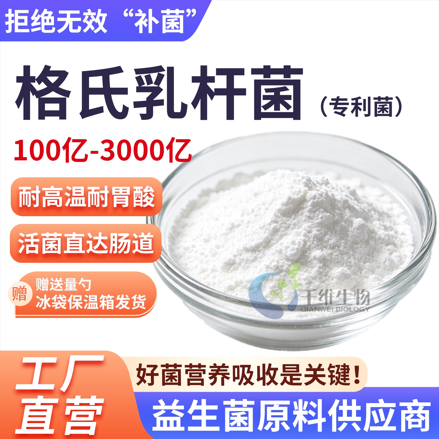 格氏乳杆菌3000亿高活性冻干型益生菌粉食品级发酵乳酸菌正品现货