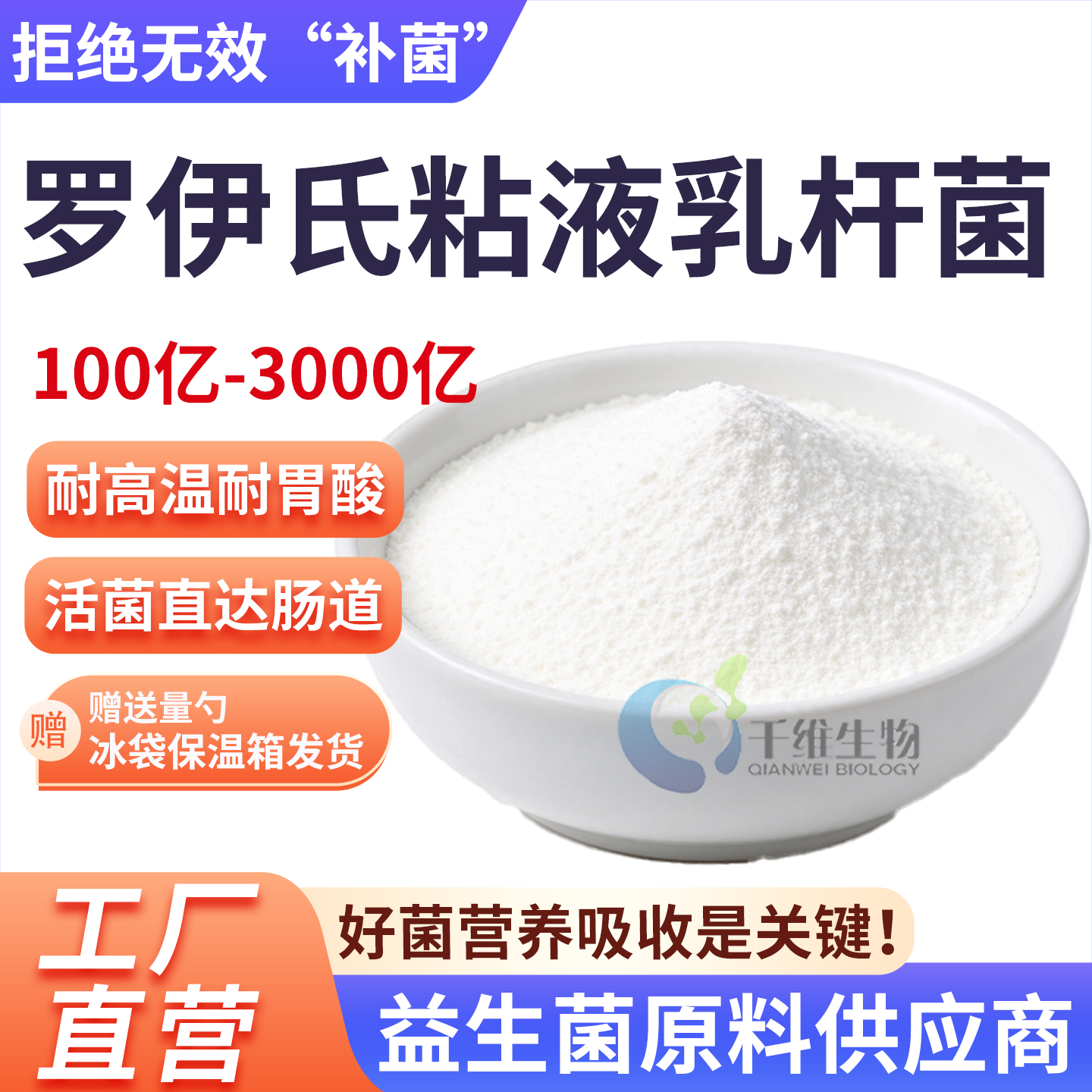 罗伊氏粘液乳杆菌益生菌 3000亿高活性冻干型益生菌粉 发酵乳酸菌