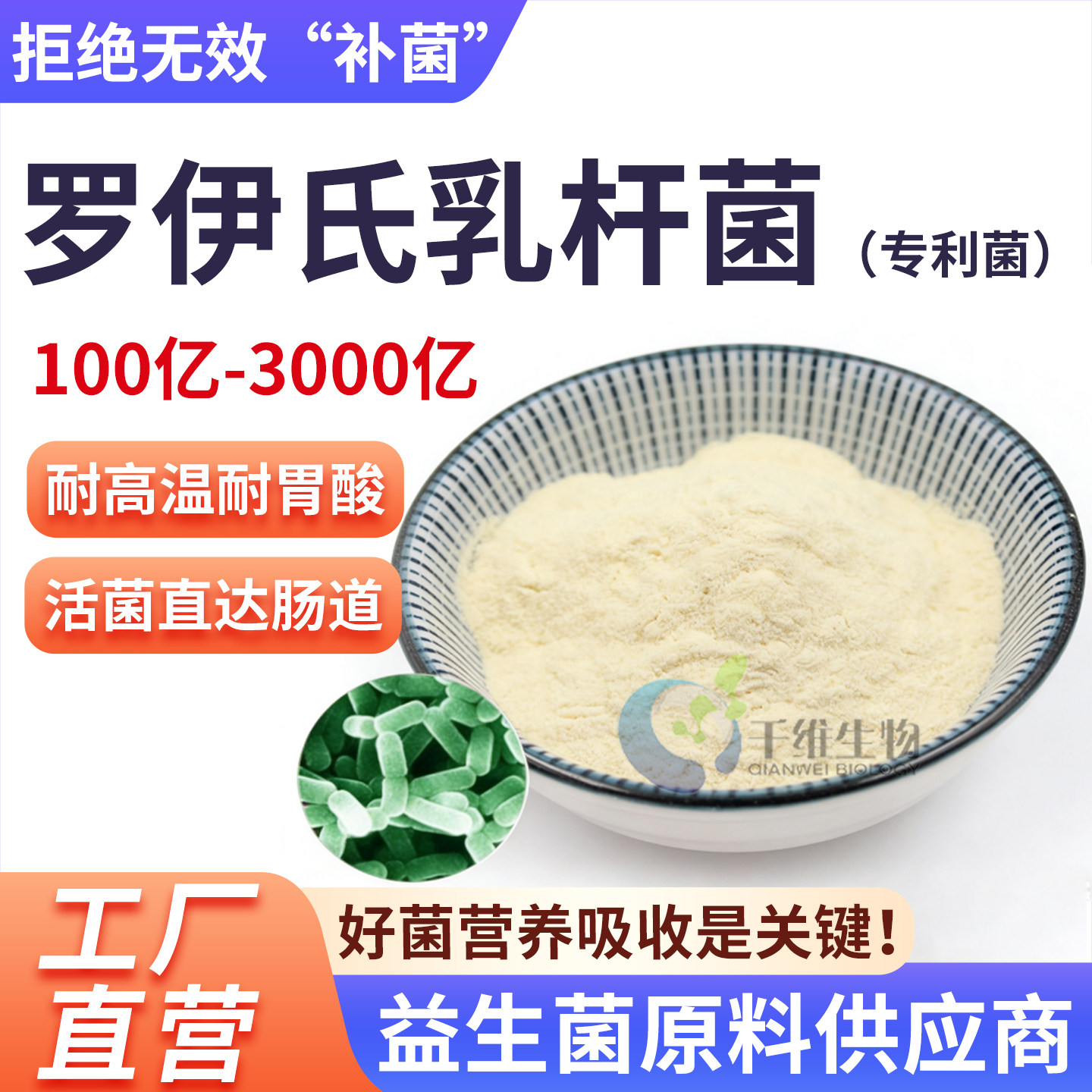 罗伊氏乳杆菌3000亿 高活性冻干粉乳酸菌食品级水溶 厂家正品现货