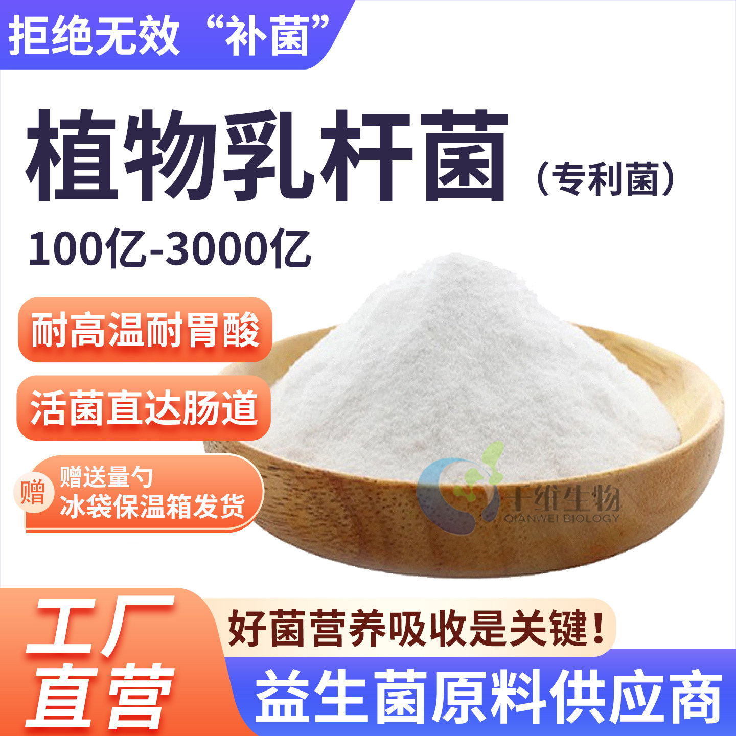 植物乳杆菌1000亿高活性冻干粉乳酸菌发酵酸奶食品级水溶厂家正品