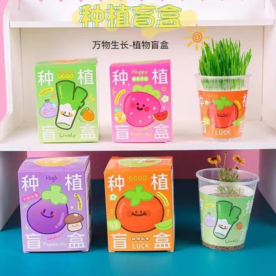 儿童种植小盆栽盲盒幼儿园观察植物小学生创意奖品地推活动小礼物