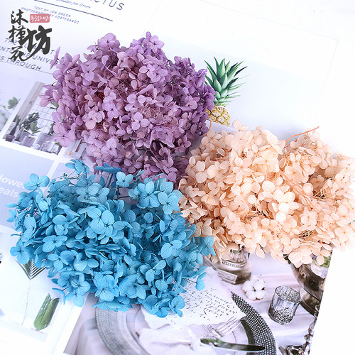 永生花小叶绣球干花玻璃摆件满天星diy材料房间礼盒鲜花装饰礼品