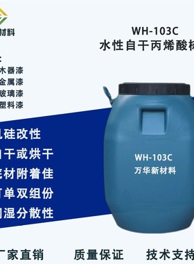 水性有机硅改性丙烯酸树脂自干金属木器玻璃塑胶漆广州万华WH103C