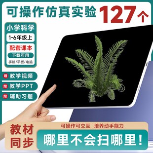 6年级上3D虚拟仿真实验教学器材具教材同步 小学科学1 365天