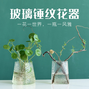 绿萝水培花盆器皿花瓶透明玻璃插花创意水养植物花器客厅装 饰摆件