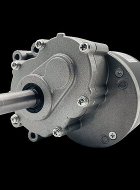 24v250ew羚刷永磁减速二级电机my1016z直流鹰电动车轮椅低速电机