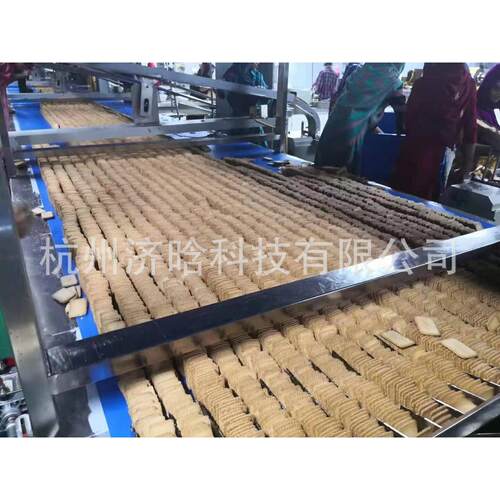 饼干沥油冷却线,饼干整理机,饼干整理台,饼干叠层机,饼干夹心机
