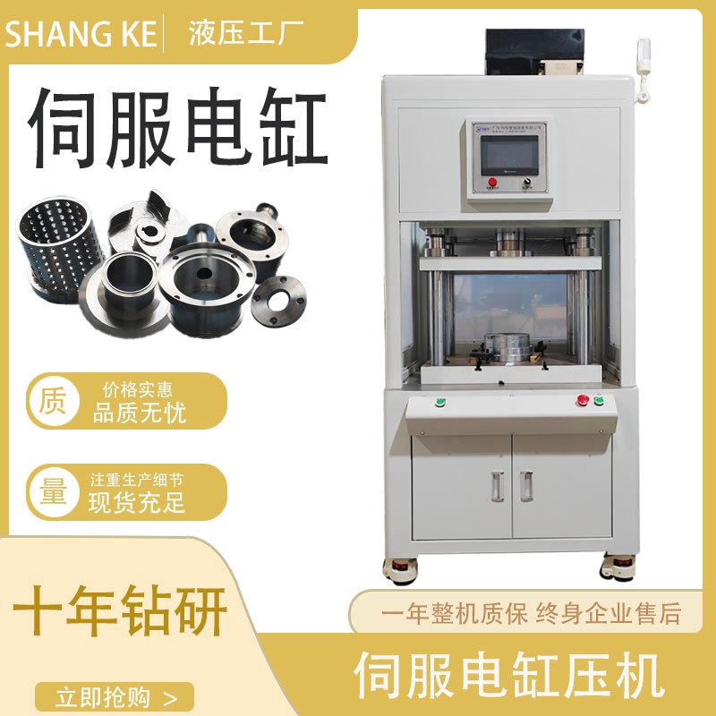 源头工厂直销轴承压力机伺服数控伺服压机丝杆丝杠自动伺服矫直机