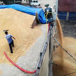 家用照明电带动吸粮机器 软管粮食垂直提升机 3米大豆提升机