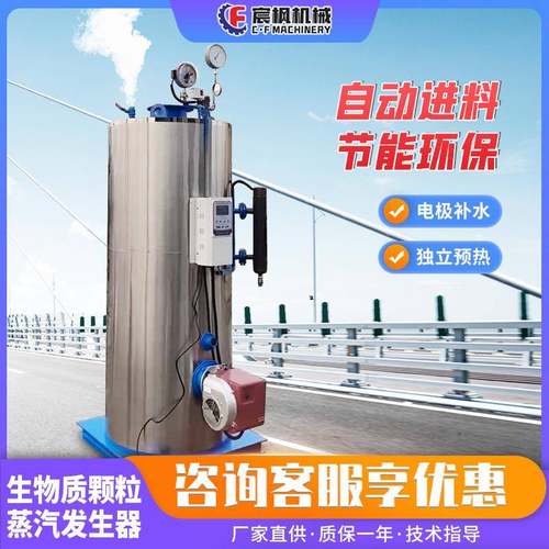 电加热蒸汽发生器生物质天然气节能型锅炉蒸汽机混凝土桥梁养护器