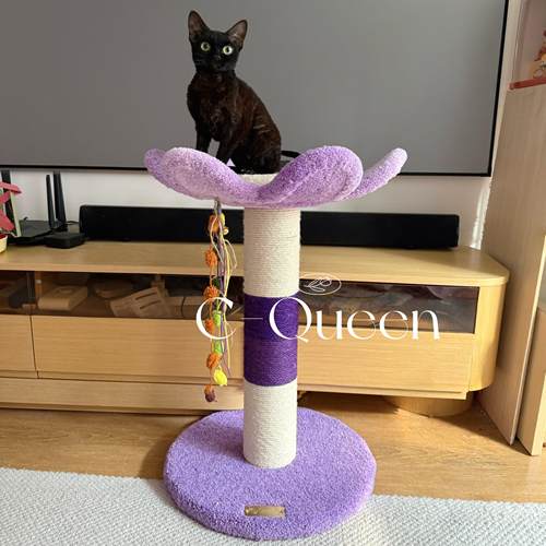 C-Queen/Camily花朵柱子猫爬架猫窝剑麻立式猫抓柱磨爪耐抓大尺寸