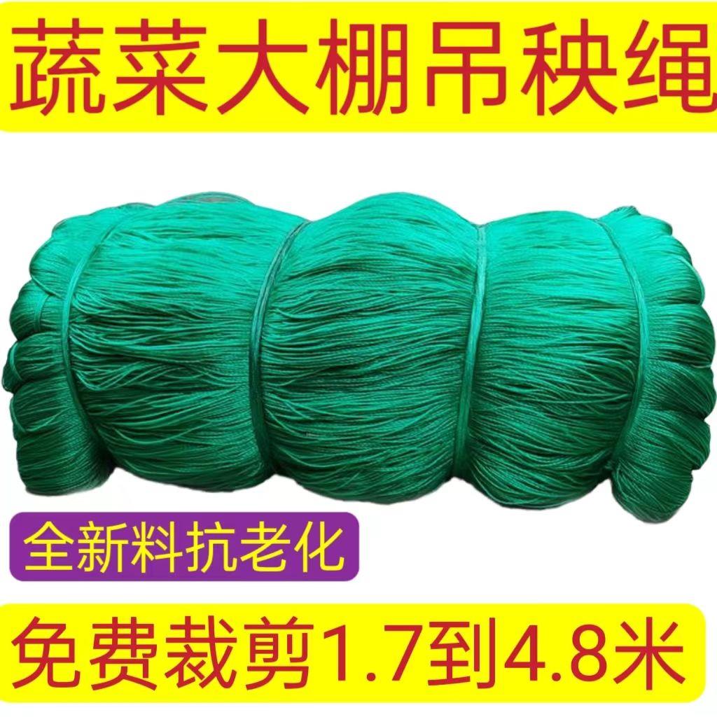 吊秧绳吊蔓绳黄瓜西红柿辣椒吊绳蔬菜大棚尼龙绳耐磨聚乙烯线农用