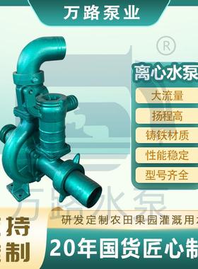 农用灌溉抽水机3寸大流量铸铁离心水泵